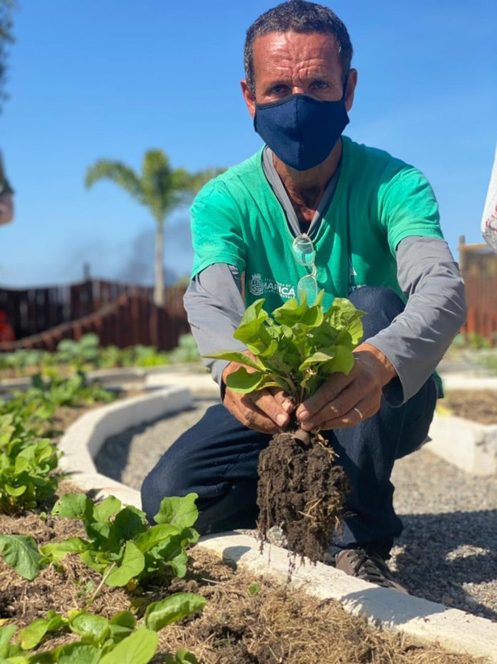 Leia mais sobre o artigo Prefeitura promove sábado agroecológico