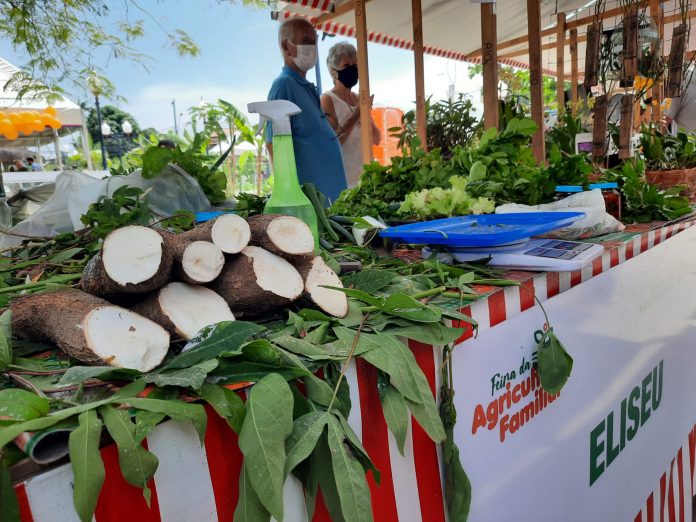 Leia mais sobre o artigo Prefeitura promove Sábado Agroecológico em Araçatiba