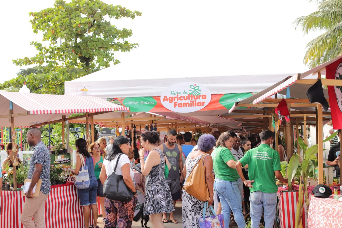 Leia mais sobre o artigo Feira da Agricultura Familiar é marcada por palestra sobre agroecologia