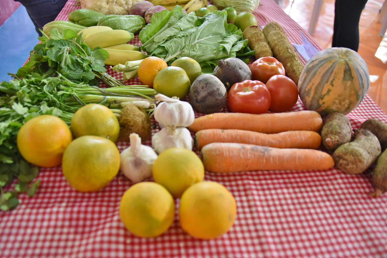 Leia mais sobre o artigo Maricá é convidada para apresentar programa de Agroecologia em congresso na Suécia