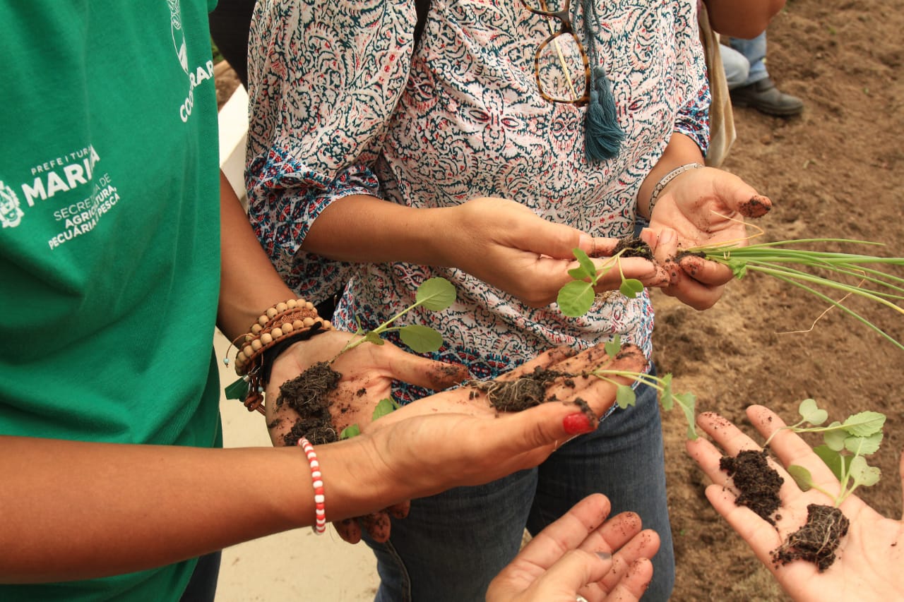 Leia mais sobre o artigo Agricultura promove primeira oficina de Cultivo em Pequenos Espaços Produtivos em Araçatiba