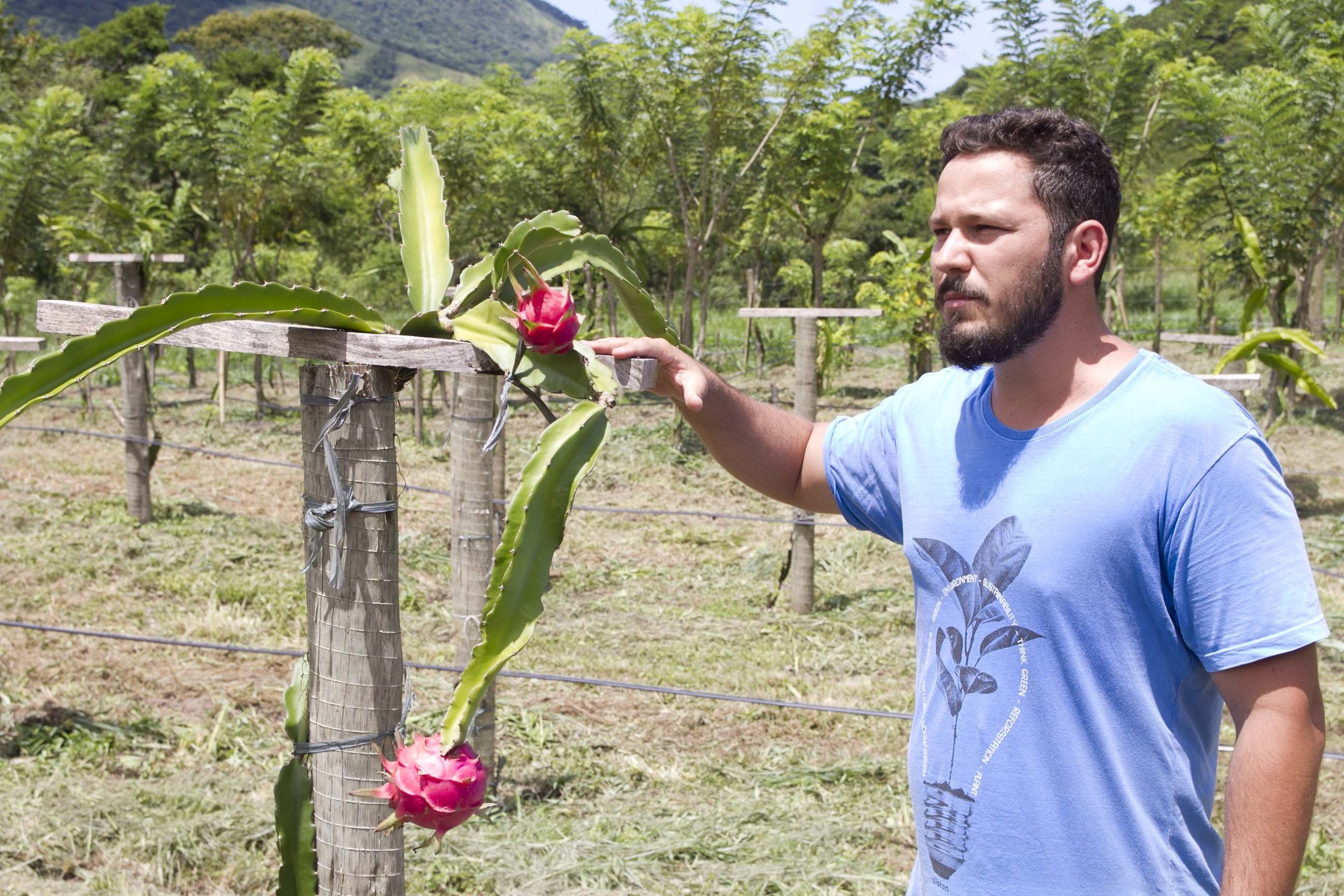 Leia mais sobre o artigo Produção de pitaya na Fazenda Pública floresce e chega ao período da colheita