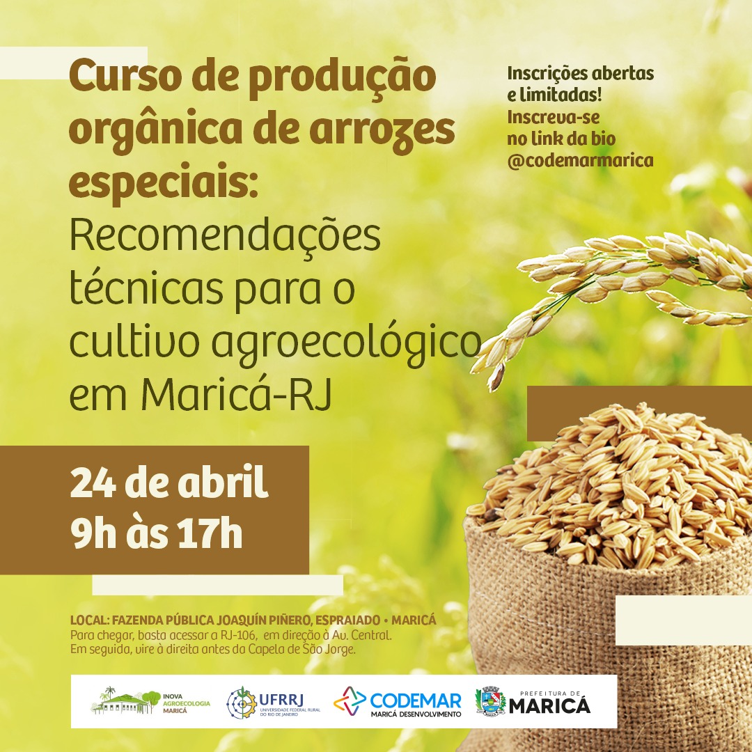 Leia mais sobre o artigo Inova realiza curso de produção orgânica de novas variedades de arroz no Espraiado