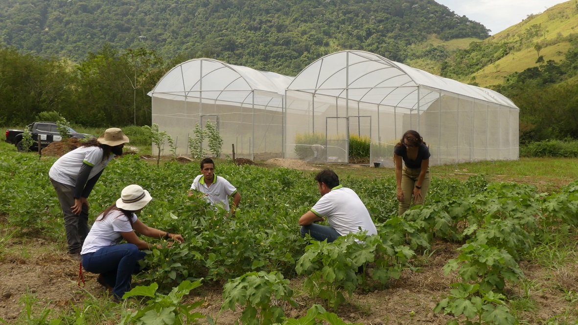 Leia mais sobre o artigo Codemar e Biotec mostram projetos em parceria com a UFRRJ na Semana Rural 2023