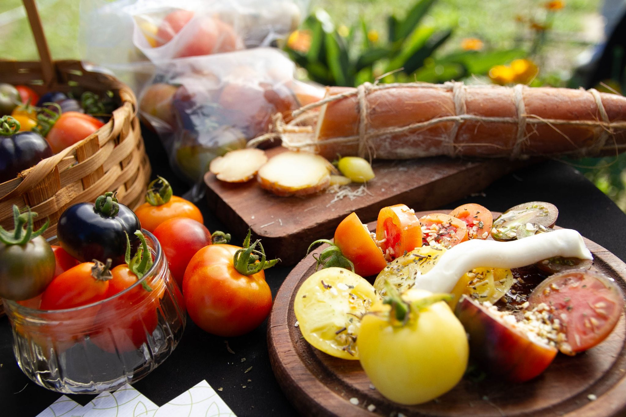 Leia mais sobre o artigo Em Maricá, tomates gourmet encontram terreno fértil e abrem caminho para mais empregos