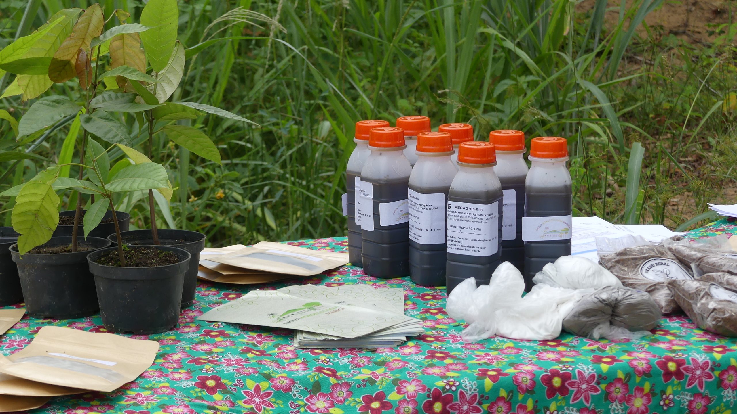 Leia mais sobre o artigo Inova Agroecologia Maricá faz análise de solos da Horta Comunitária de Cordeirinho