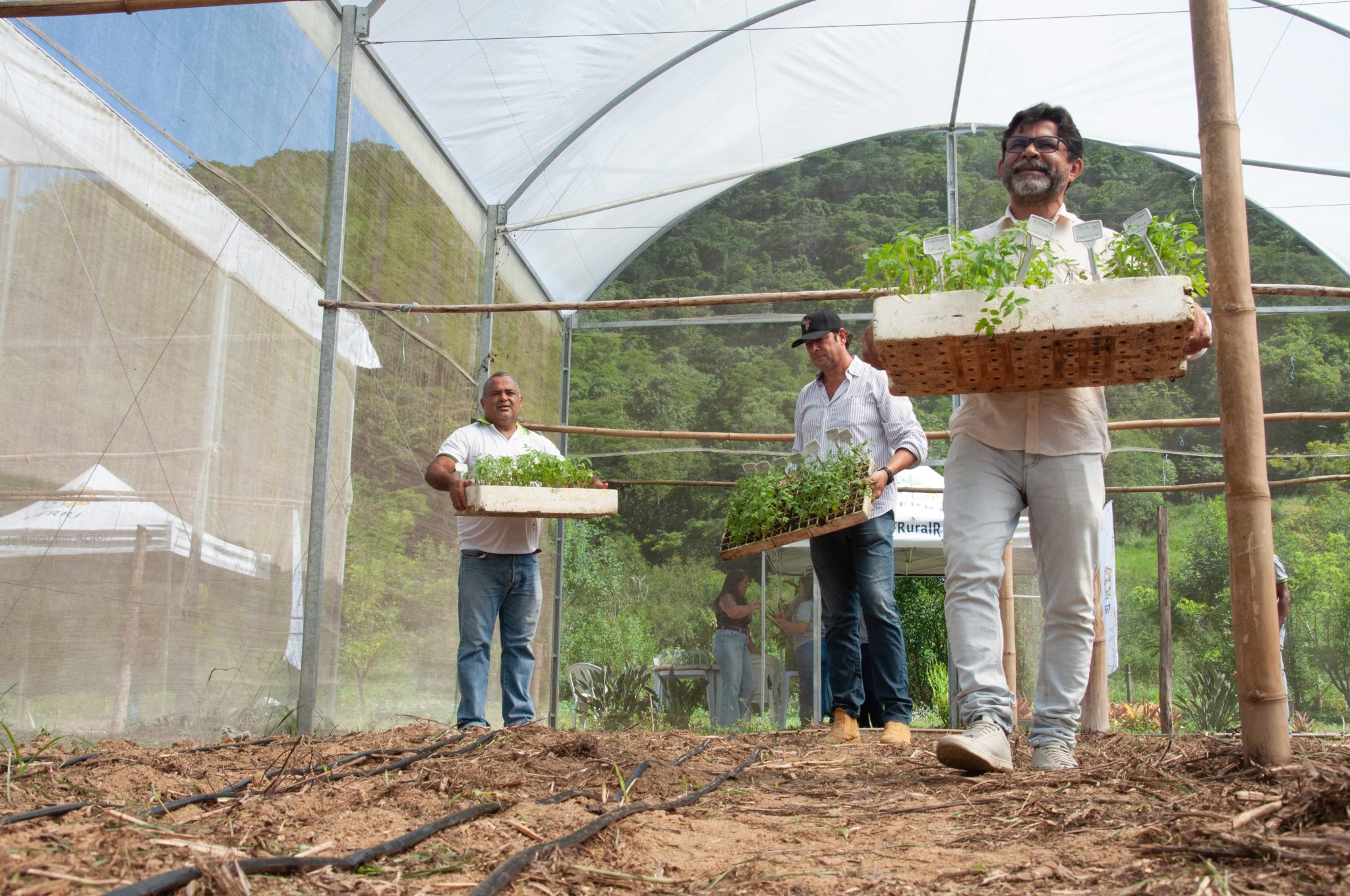Leia mais sobre o artigo Inova Agroecologia Maricá inicia o 2° plantio de tomates gourmet na Fazenda Pública Joaquín Piñero