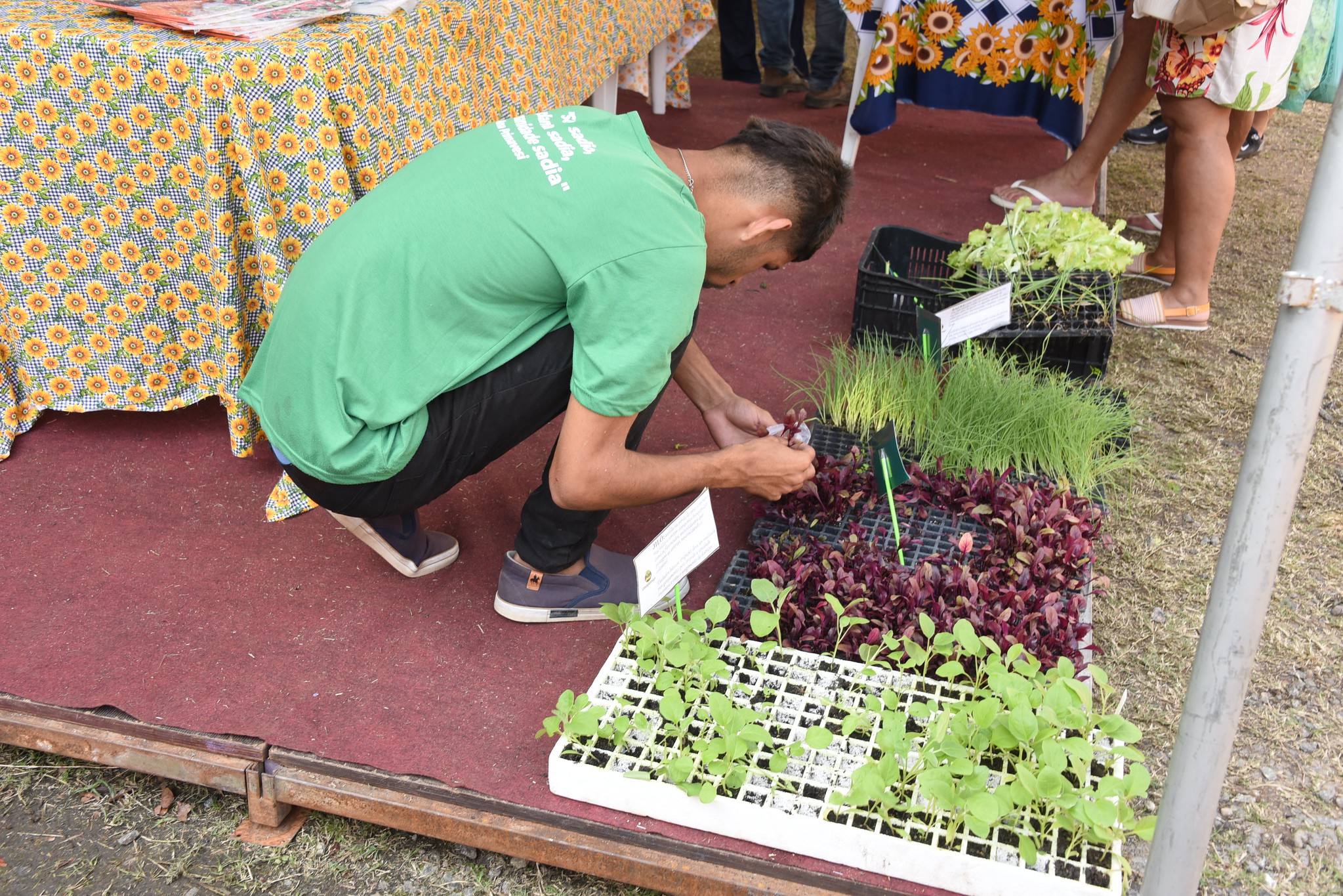 Leia mais sobre o artigo Maricá realiza Festa do Produtor Rural dias 3 e 4 de agosto