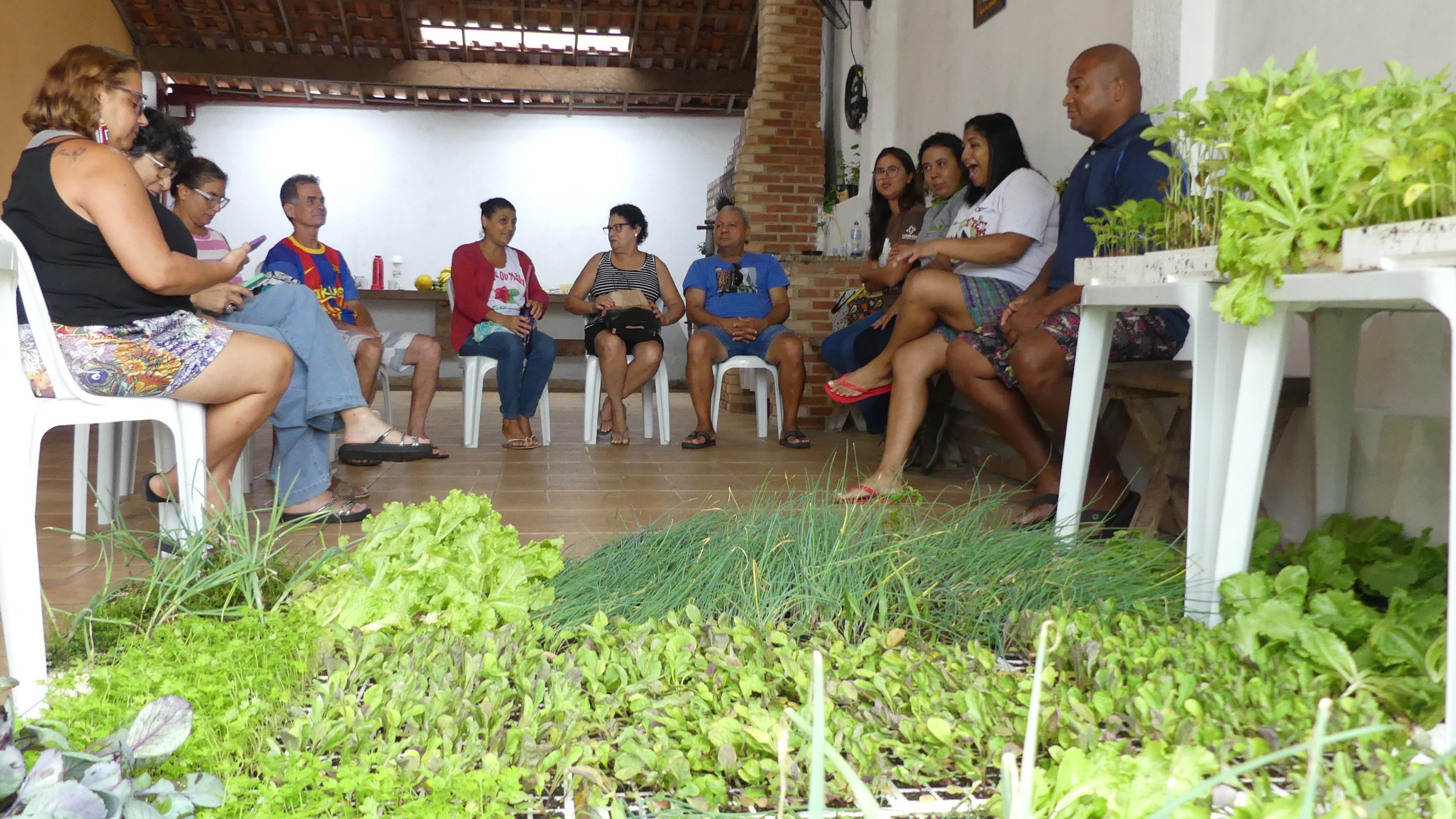 Leia mais sobre o artigo Moradores do Manu Manuela recebem mudas do projeto agroecológico da Codemar