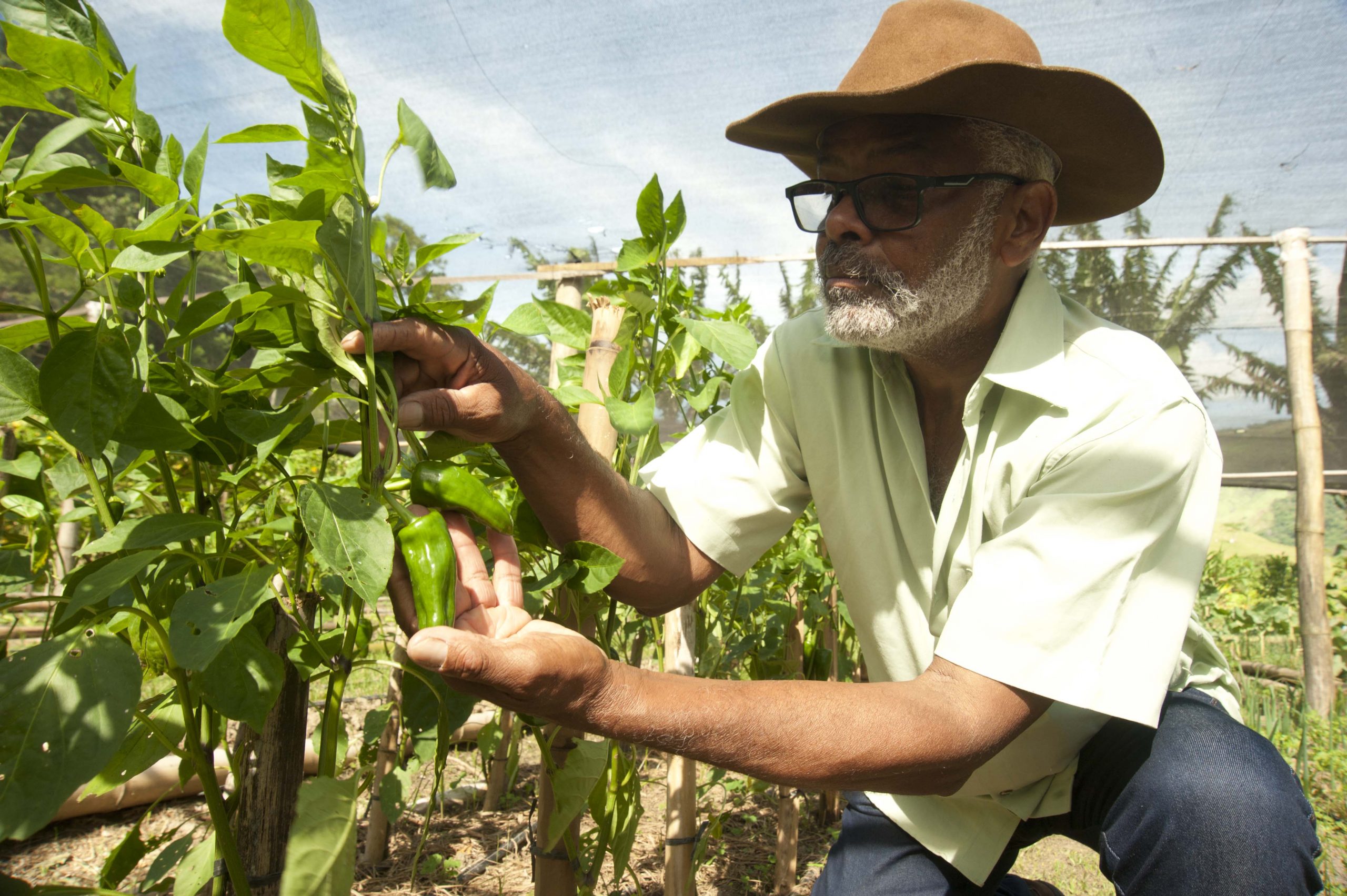 Leia mais sobre o artigo Maricá celebra o Dia do Combate aos Agrotóxicos